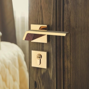 Door Handle Accessories