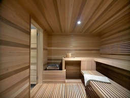 Sauna Room / Far Infrared Sauna Room related image 1