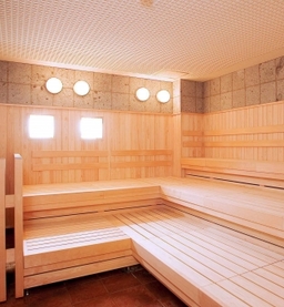 Sauna Room / Far Infrared Sauna Room related image 4