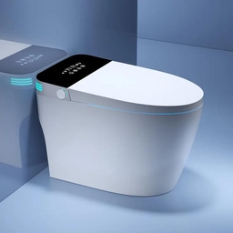 Toilet related image 1