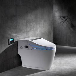 Toilet related image 2