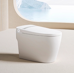 Toilet related image 3