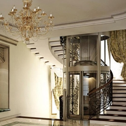 Home Elevator / Villa Elevator related image 3