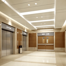 Hospital Elevator related image 1