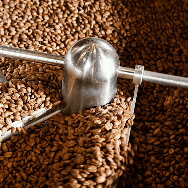 Roasted Coffee Brands