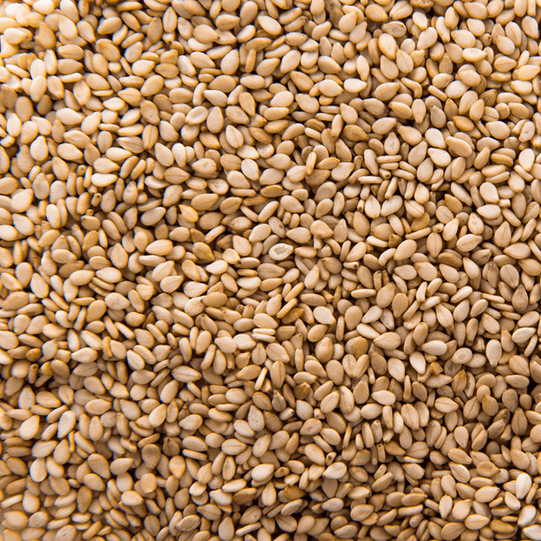 Sesame Seed (Humera)