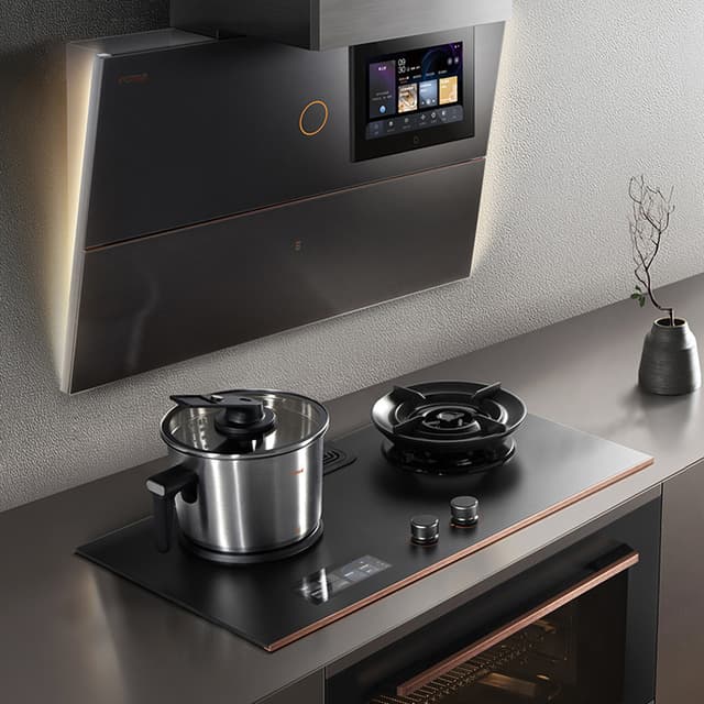 Gas Stove